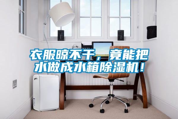 衣服晾不干，竟能把水做成水箱除濕機(jī)！