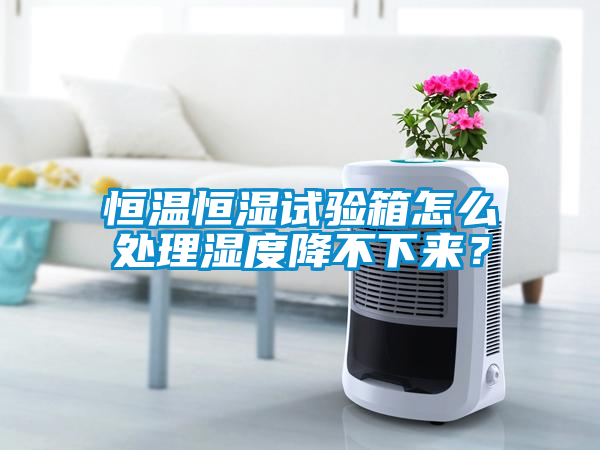 恒溫恒濕試驗(yàn)箱怎么處理濕度降不下來(lái)？