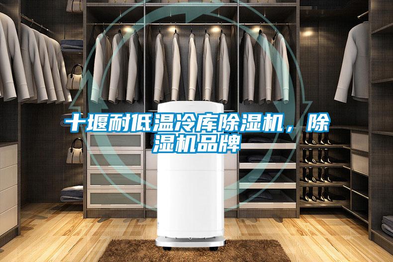 十堰耐低溫冷庫(kù)除濕機(jī)，除濕機(jī)品牌