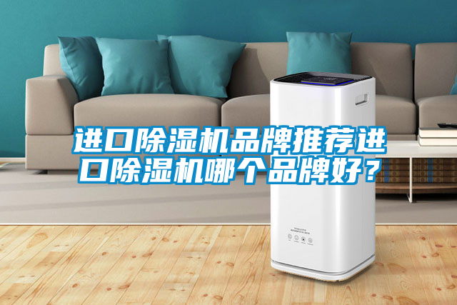 進(jìn)口除濕機(jī)品牌推薦進(jìn)口除濕機(jī)哪個(gè)品牌好？