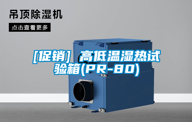 [促銷(xiāo)] 高低溫濕熱試驗(yàn)箱(PR-80)