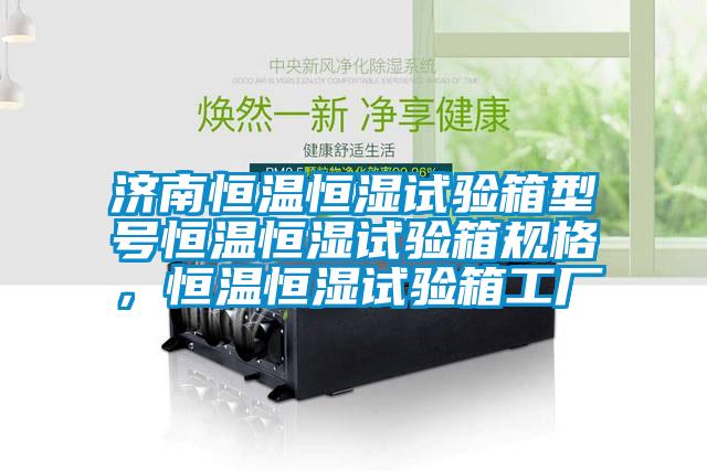 濟(jì)南恒溫恒濕試驗(yàn)箱型號(hào)恒溫恒濕試驗(yàn)箱規(guī)格，恒溫恒濕試驗(yàn)箱工廠