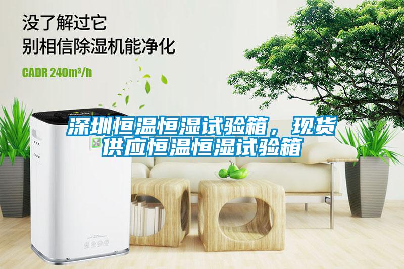 深圳恒溫恒濕試驗(yàn)箱，現(xiàn)貨供應(yīng)恒溫恒濕試驗(yàn)箱