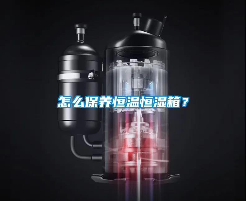 怎么保養(yǎng)恒溫恒濕箱？