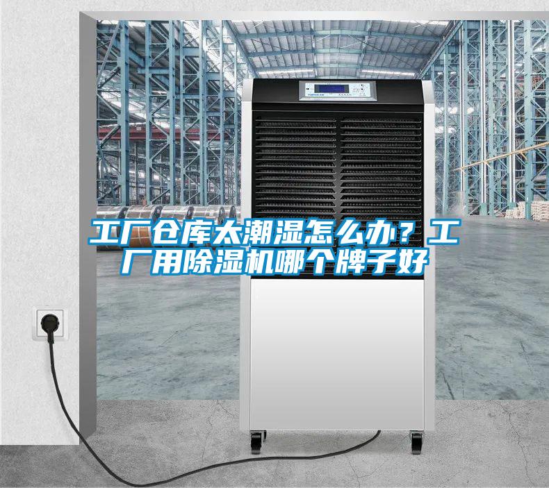 工廠倉庫太潮濕怎么辦？工廠用除濕機哪個牌子好