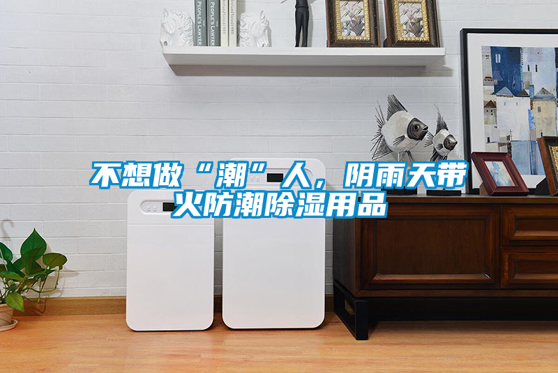 不想做“潮”人，陰雨天帶火防潮除濕用品