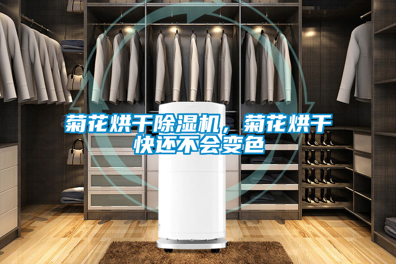 菊花烘干除濕機(jī)，菊花烘干快還不會(huì)變色