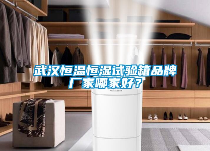 武漢恒溫恒濕試驗(yàn)箱品牌廠家哪家好？