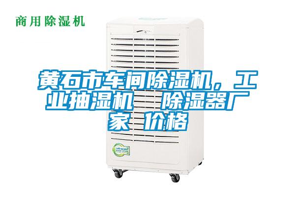 黃石市車間除濕機(jī)，工業(yè)抽濕機(jī)  除濕器廠家 價(jià)格