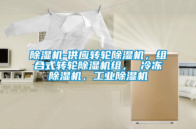 除濕機(jī)-供應(yīng)轉(zhuǎn)輪除濕機(jī)，組合式轉(zhuǎn)輪除濕機(jī)組， 冷凍除濕機(jī)，工業(yè)除濕機(jī)