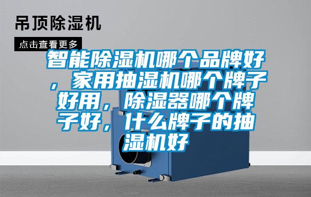 智能除濕機(jī)哪個(gè)品牌好，家用抽濕機(jī)哪個(gè)牌子好用，除濕器哪個(gè)牌子好，什么牌子的抽濕機(jī)好