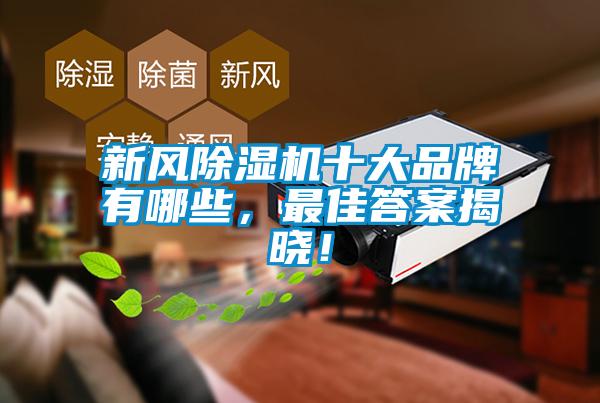 新風除濕機十大品牌有哪些，最佳答案揭曉！