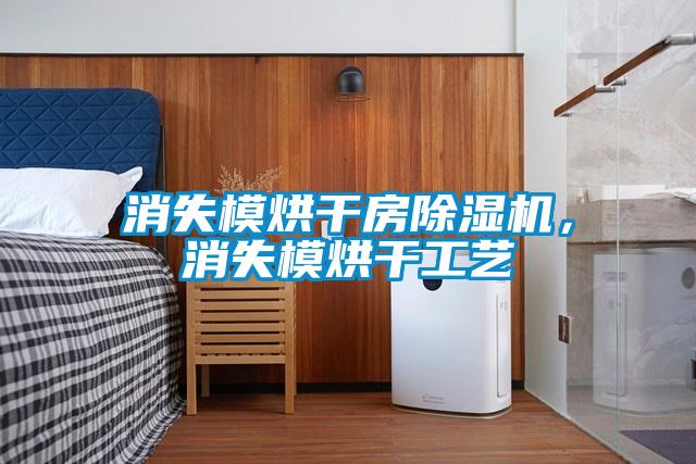 消失模烘干房除濕機(jī)，消失模烘干工藝