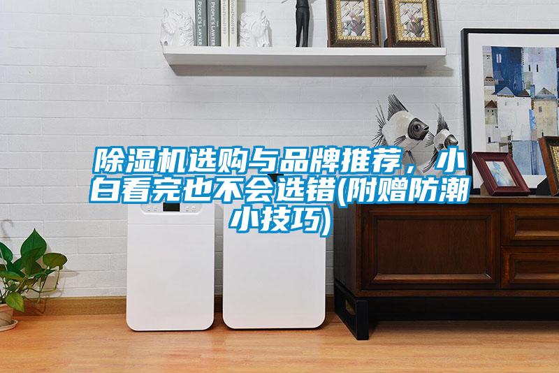 除濕機選購與品牌推薦，小白看完也不會選錯(附贈防潮小技巧)