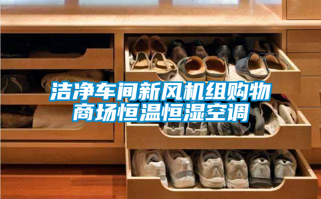 潔凈車間新風(fēng)機(jī)組購物商場(chǎng)恒溫恒濕空調(diào)
