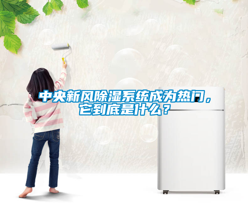 中央新風(fēng)除濕系統(tǒng)成為熱門，它到底是什么？
