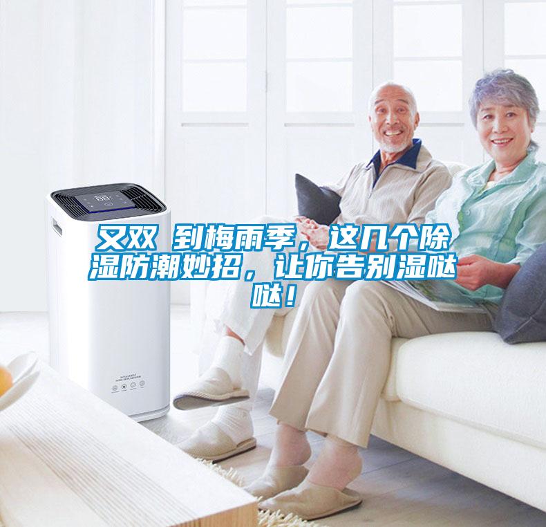 又雙叒到梅雨季，這幾個(gè)除濕防潮妙招，讓你告別濕噠噠！
