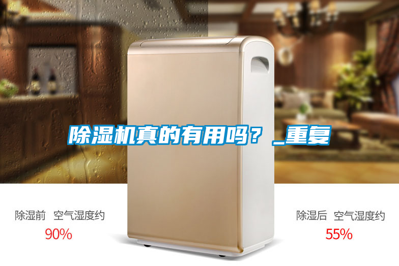 除濕機(jī)真的有用嗎？_重復(fù)