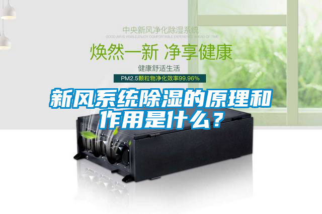 新風(fēng)系統(tǒng)除濕的原理和作用是什么？