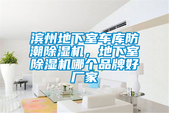 濱州地下室車庫防潮除濕機，地下室除濕機哪個品牌好廠家