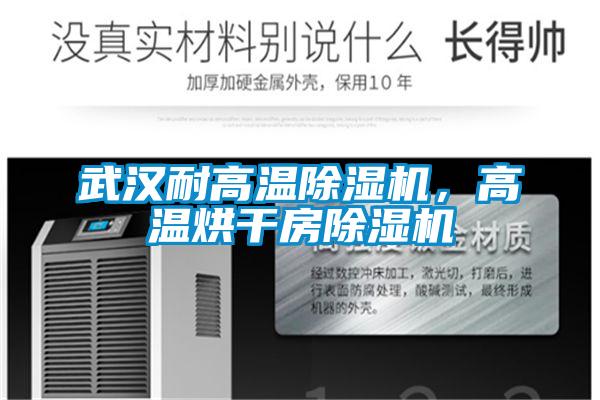 武漢耐高溫除濕機，高溫烘干房除濕機