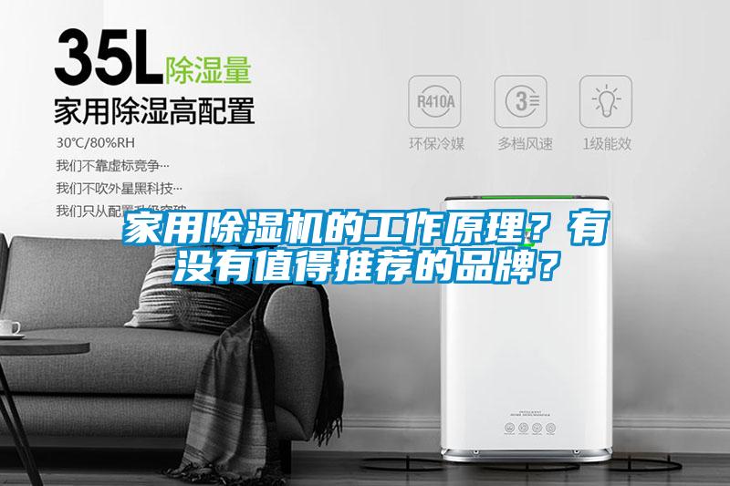 家用除濕機的工作原理？有沒有值得推薦的品牌？