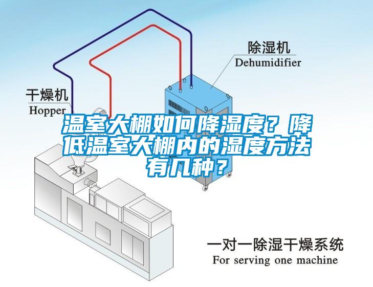溫室大棚如何降濕度？降低溫室大棚內(nèi)的濕度方法有幾種？