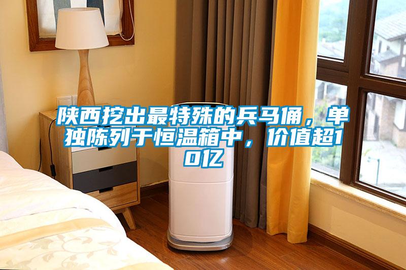 陜西挖出最特殊的兵馬俑，單獨(dú)陳列于恒溫箱中，價值超10億