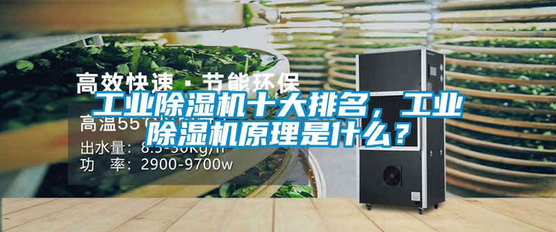 工業(yè)除濕機(jī)十大排名，工業(yè)除濕機(jī)原理是什么？
