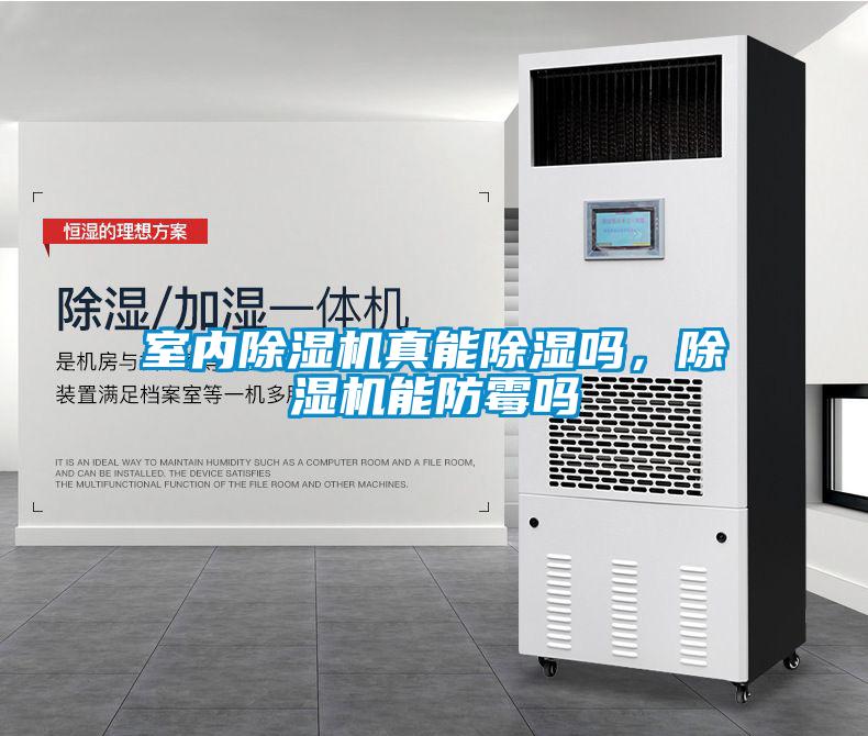 室內(nèi)除濕機(jī)真能除濕嗎，除濕機(jī)能防霉嗎