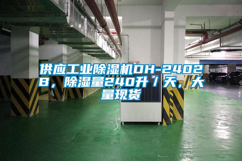 供應(yīng)工業(yè)除濕機(jī)DH-2402B，除濕量240升／天，大量現(xiàn)貨