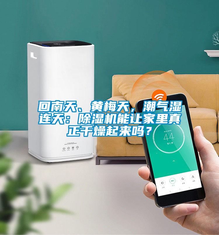 回南天、黃梅天，潮氣濕連天：除濕機能讓家里真正干燥起來嗎？