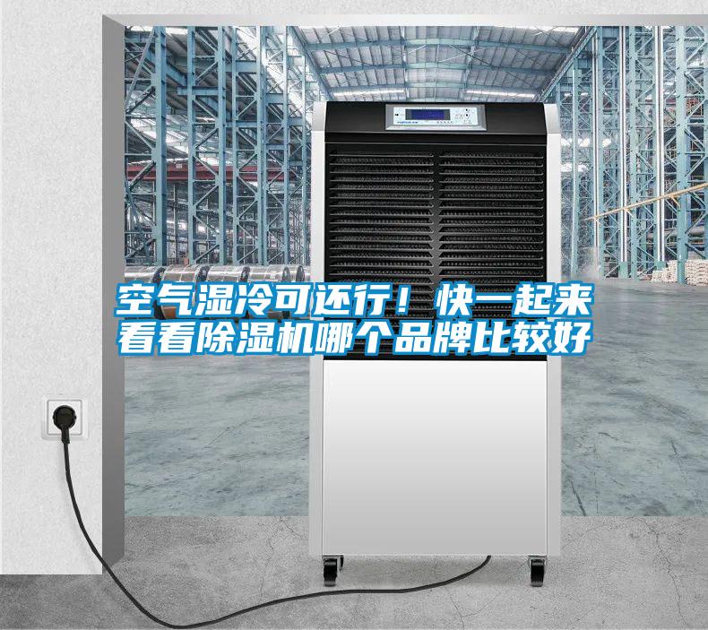 空氣濕冷可還行！快一起來看看除濕機哪個品牌比較好