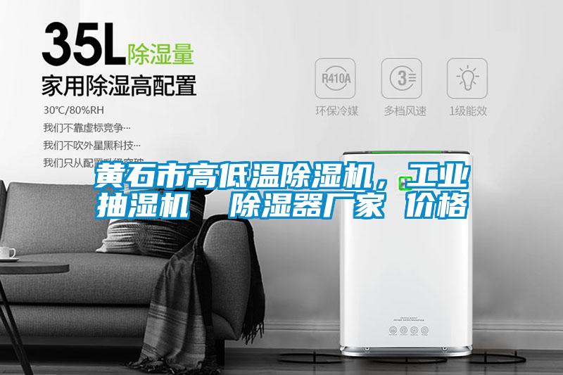 黃石市高低溫除濕機(jī)，工業(yè)抽濕機(jī)  除濕器廠家 價格