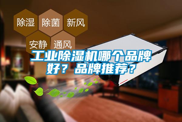 工業(yè)除濕機(jī)哪個(gè)品牌好？品牌推薦？