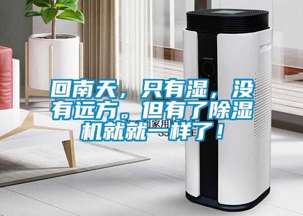 回南天，只有濕，沒有遠方。但有了除濕機就就一樣了！