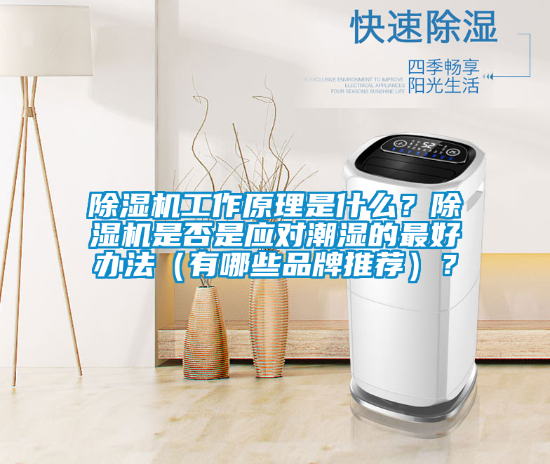 除濕機(jī)工作原理是什么？除濕機(jī)是否是應(yīng)對潮濕的最好辦法（有哪些品牌推薦）？