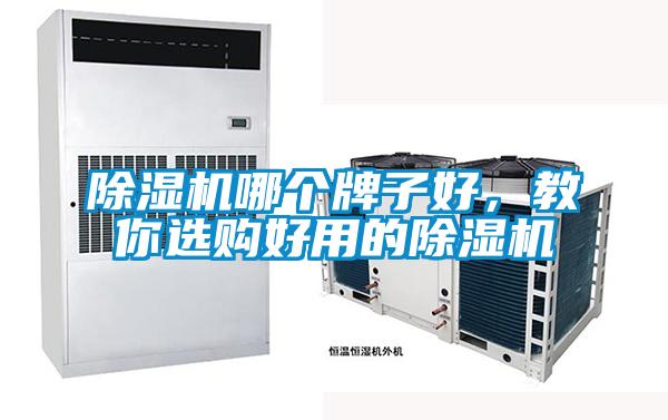 除濕機(jī)哪個(gè)牌子好，教你選購好用的除濕機(jī)