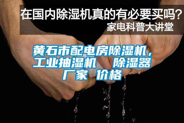 黃石市配電房除濕機(jī)，工業(yè)抽濕機(jī)  除濕器廠家 價格