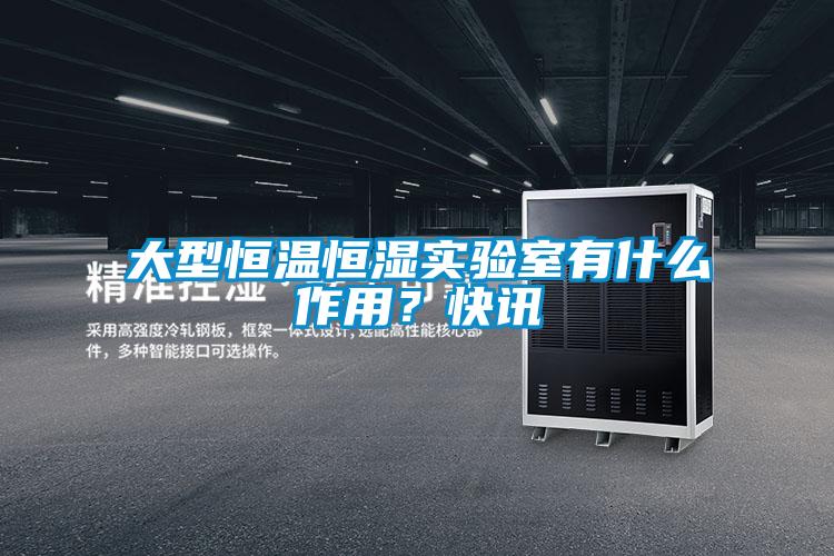 大型恒溫恒濕實(shí)驗(yàn)室有什么作用？快訊