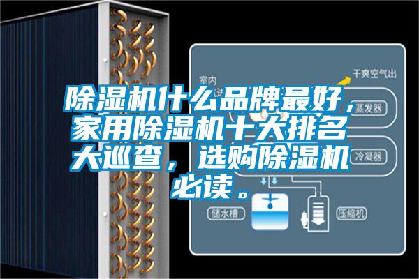 除濕機(jī)什么品牌最好，家用除濕機(jī)十大排名大巡查，選購除濕機(jī)必讀。