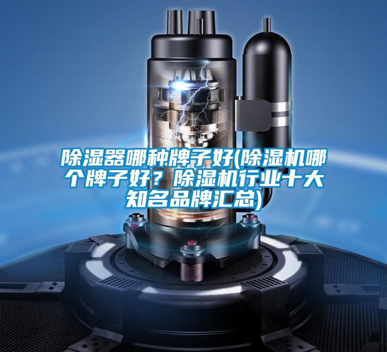 除濕器哪種牌子好(除濕機(jī)哪個牌子好？除濕機(jī)行業(yè)十大知名品牌匯總)