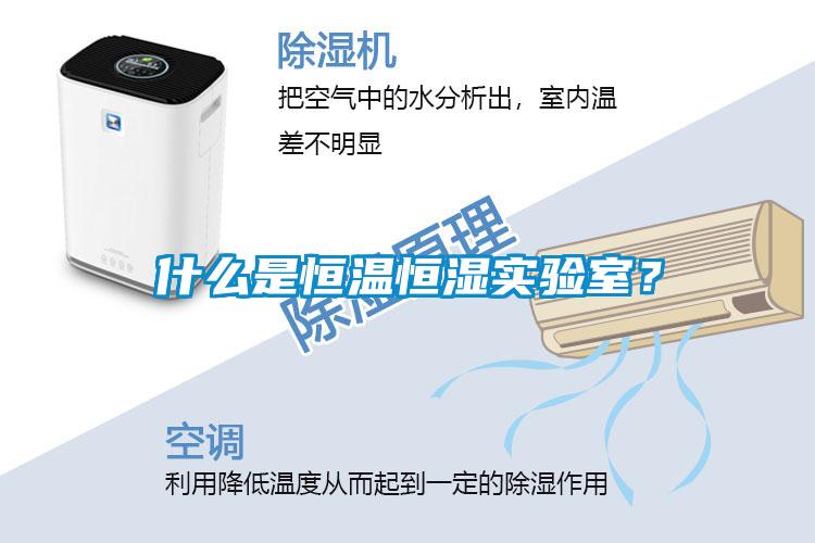 什么是恒溫恒濕實驗室？