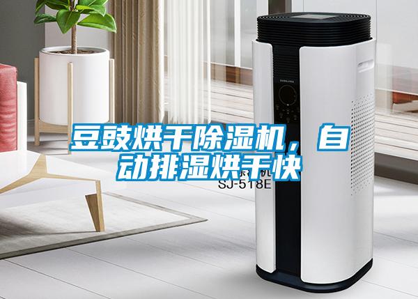 豆豉烘干除濕機(jī)，自動(dòng)排濕烘干快