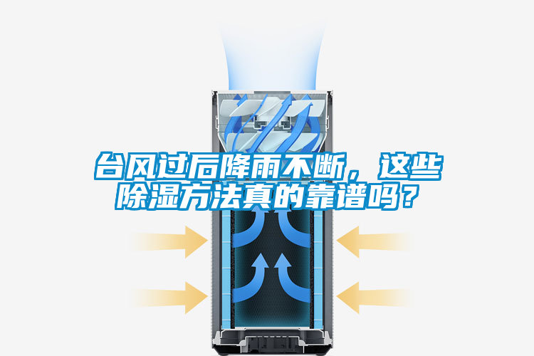 臺風(fēng)過后降雨不斷，這些除濕方法真的靠譜嗎？