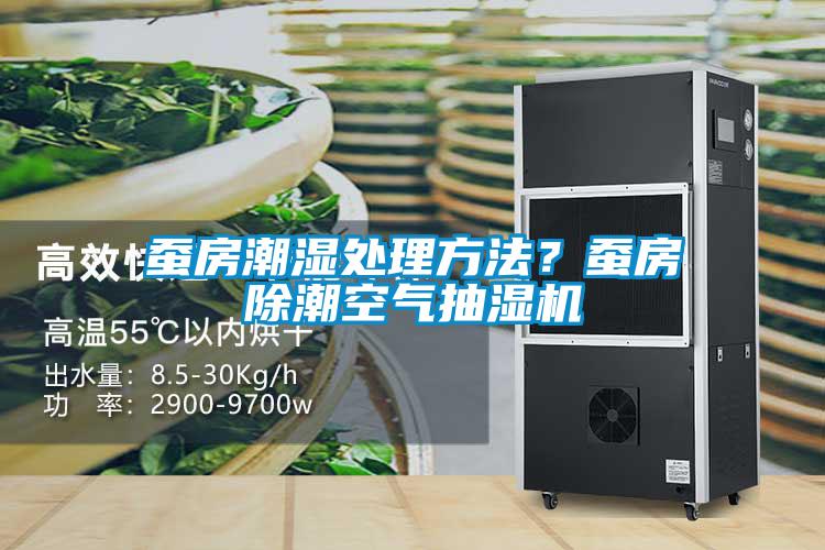 蠶房潮濕處理方法？蠶房除潮空氣抽濕機