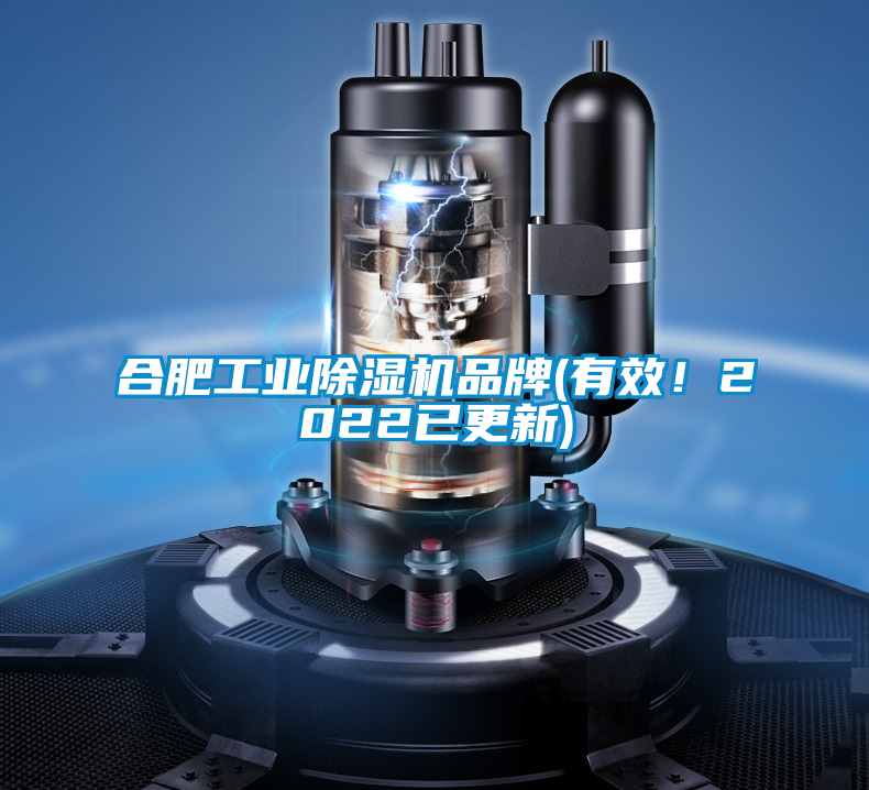 合肥工業(yè)除濕機(jī)品牌(有效！2022已更新)