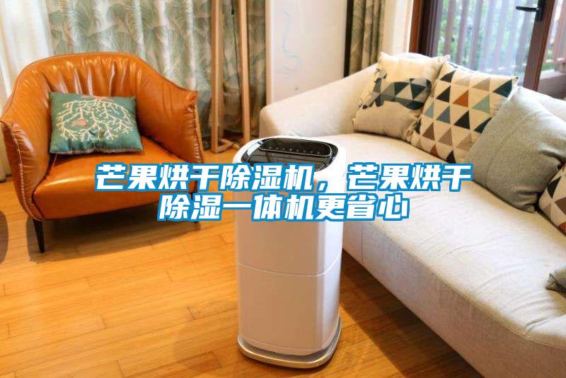 芒果烘干除濕機(jī)，芒果烘干除濕一體機(jī)更省心