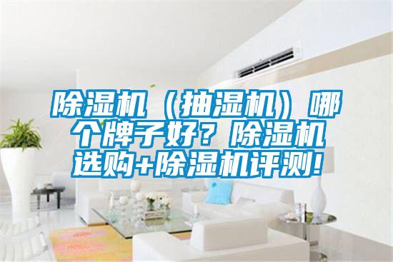 除濕機(jī)（抽濕機(jī)）哪個(gè)牌子好？除濕機(jī)選購(gòu)+除濕機(jī)評(píng)測(cè)!