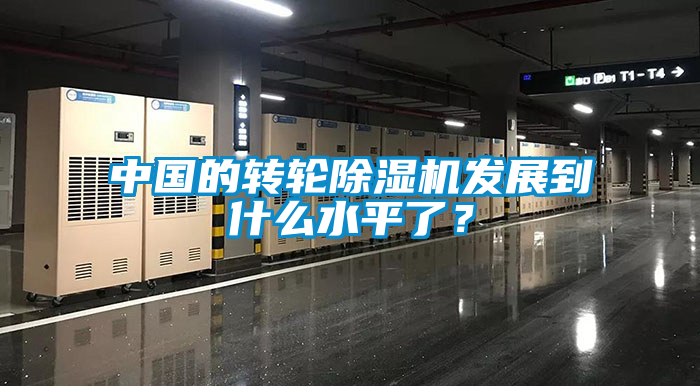 中國的轉(zhuǎn)輪除濕機(jī)發(fā)展到什么水平了？